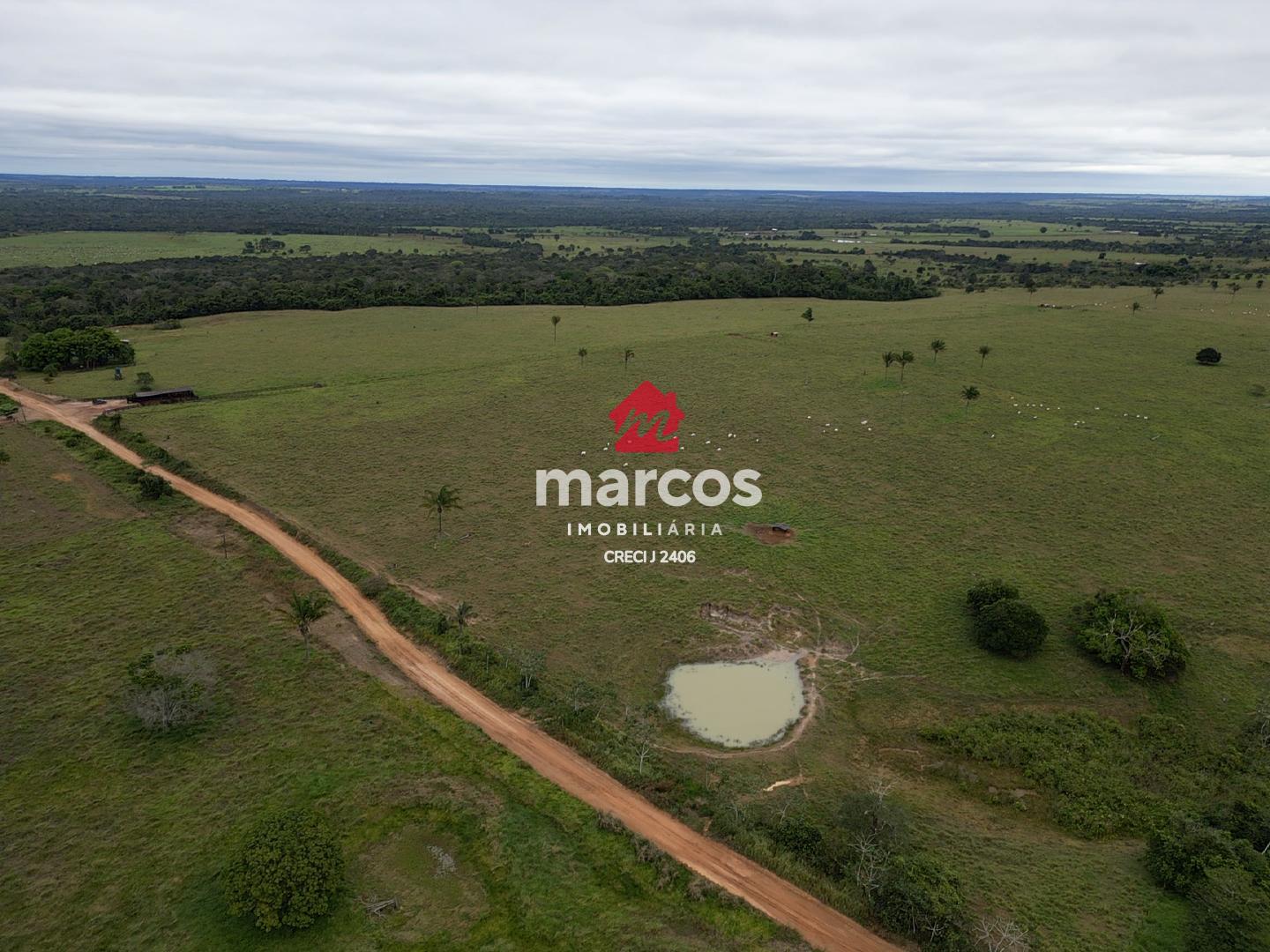 VENDE-SE PROPRIEDADE RURAL - EXCELENTE OPORTUNIDADE 