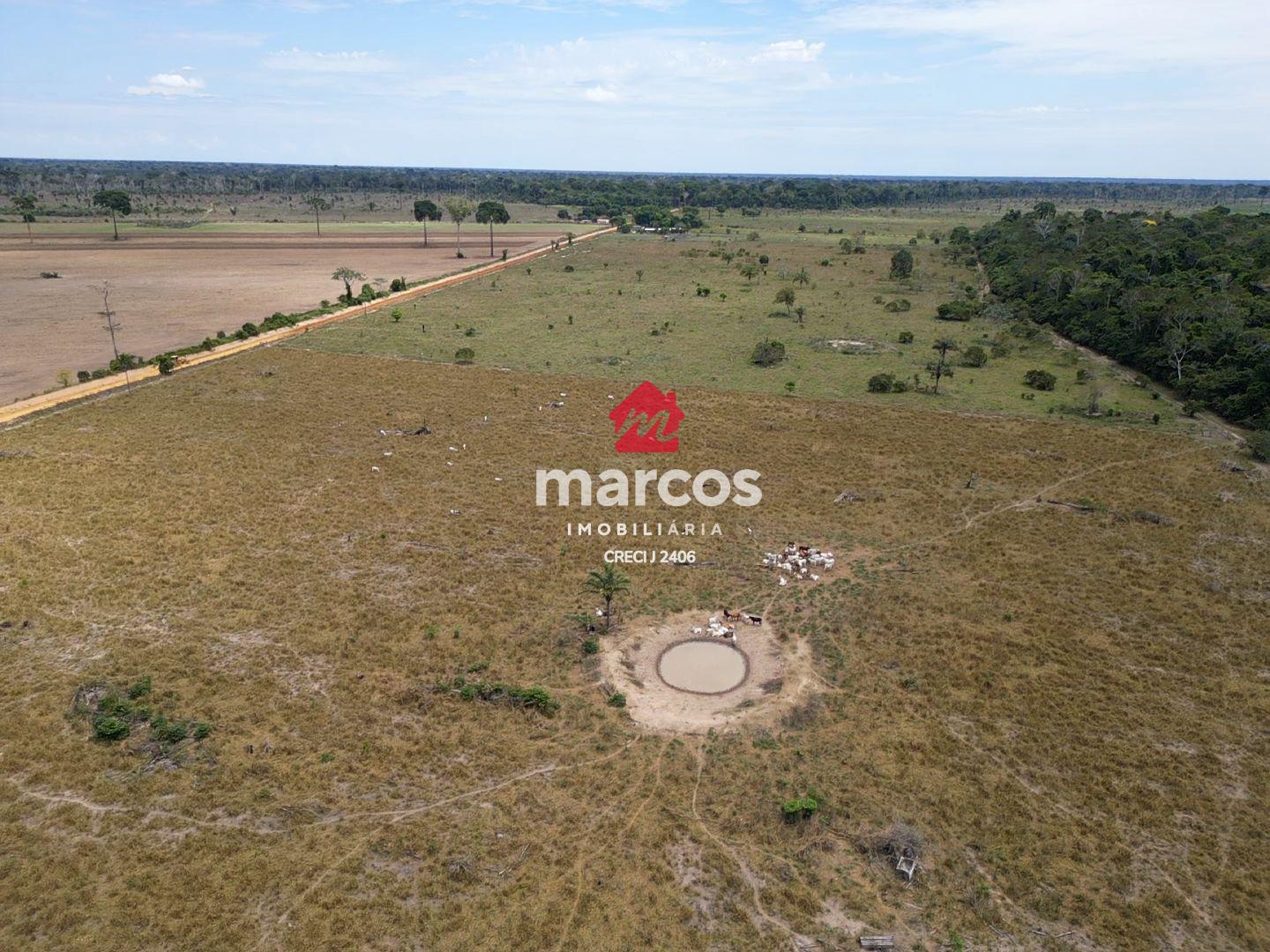 Sítio à venda, em Costa Marques-RO