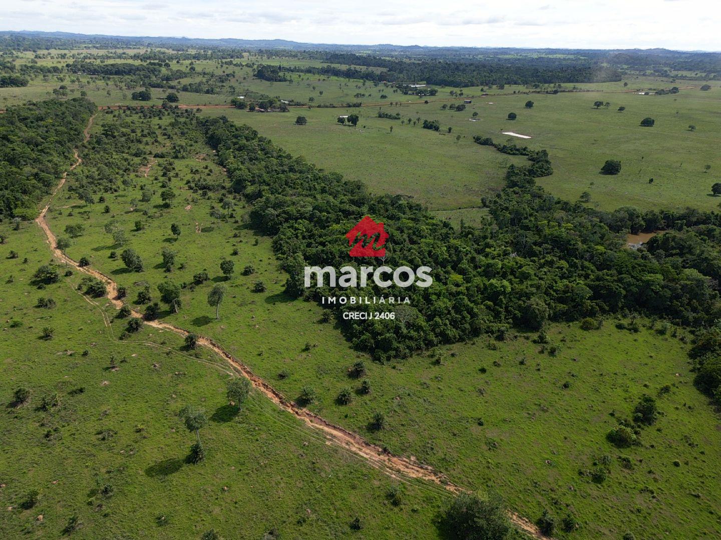 SÍTIO À VENDA COM 48,4 HECTARES, TODO ESCRITURADO EM CACOAL - RO