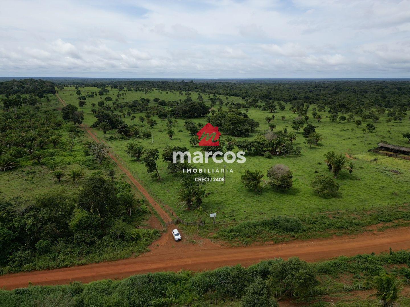 FAZENDA À VENDA - REGIÃO DO VALE DO GUAPORÉ-RO