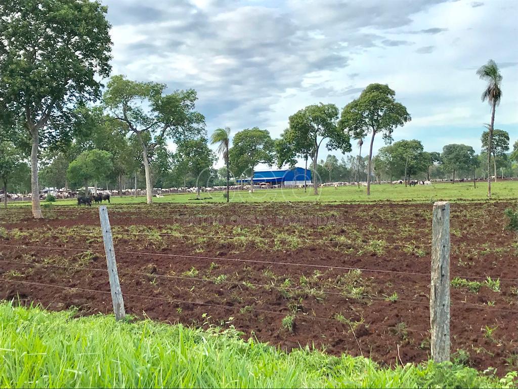 FAZENDA A VENDA EM MATO GROSSO. DUPLA APTID?O. CACERES MT.