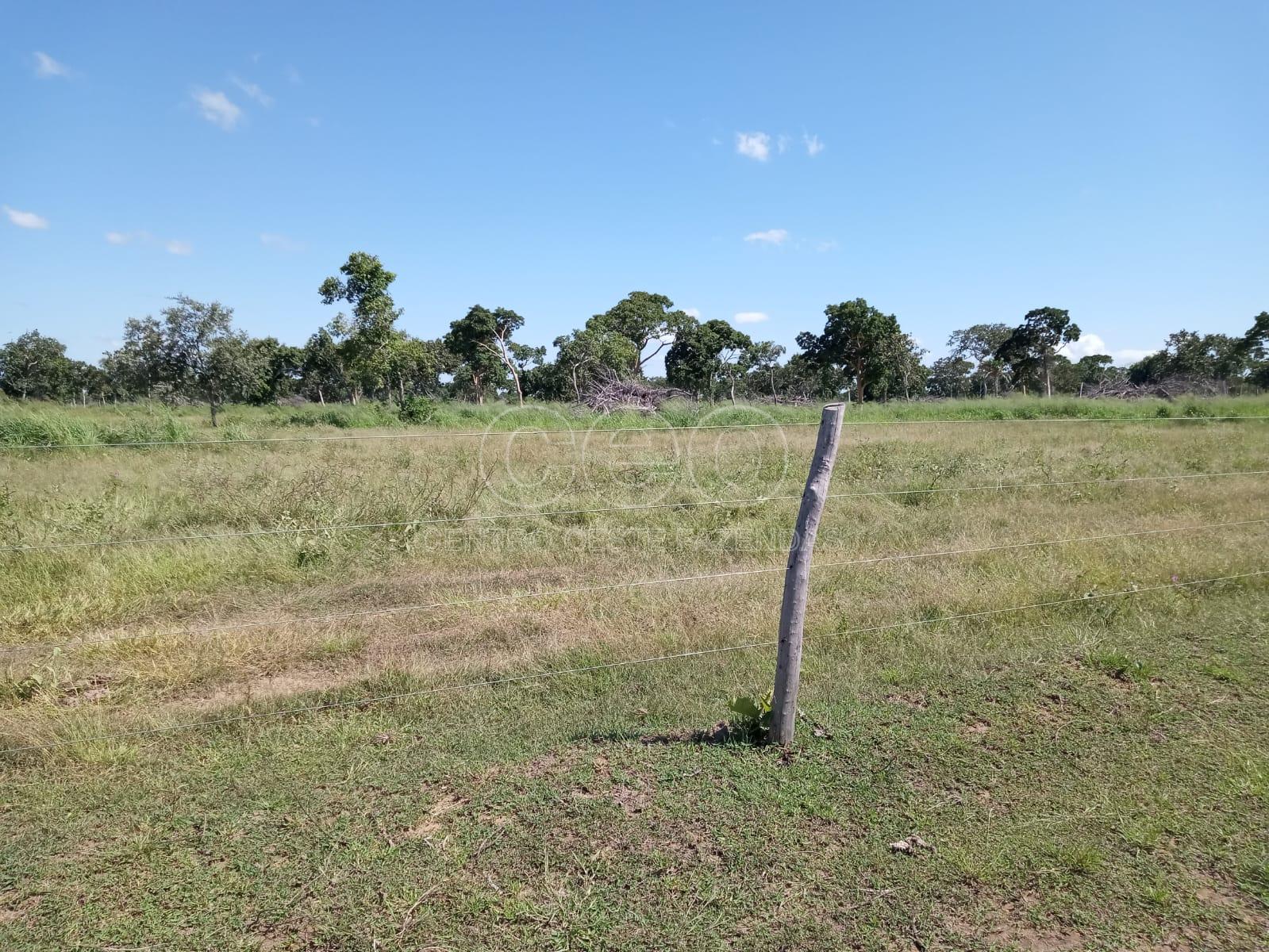 FAZENDA A VENDA EM MATO GROSSO. DUPLA APTIDÃO CÁCERES MT.