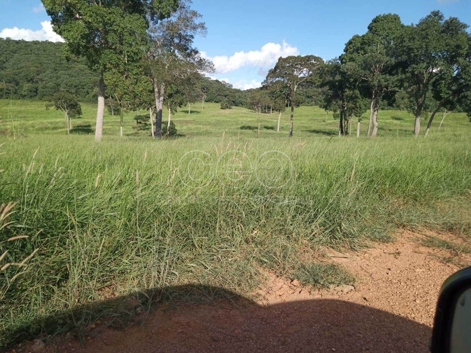 FAZENDA A VENDA EM MT. 266 HECTARES DUPLA APTID?O. C?CERESMT.