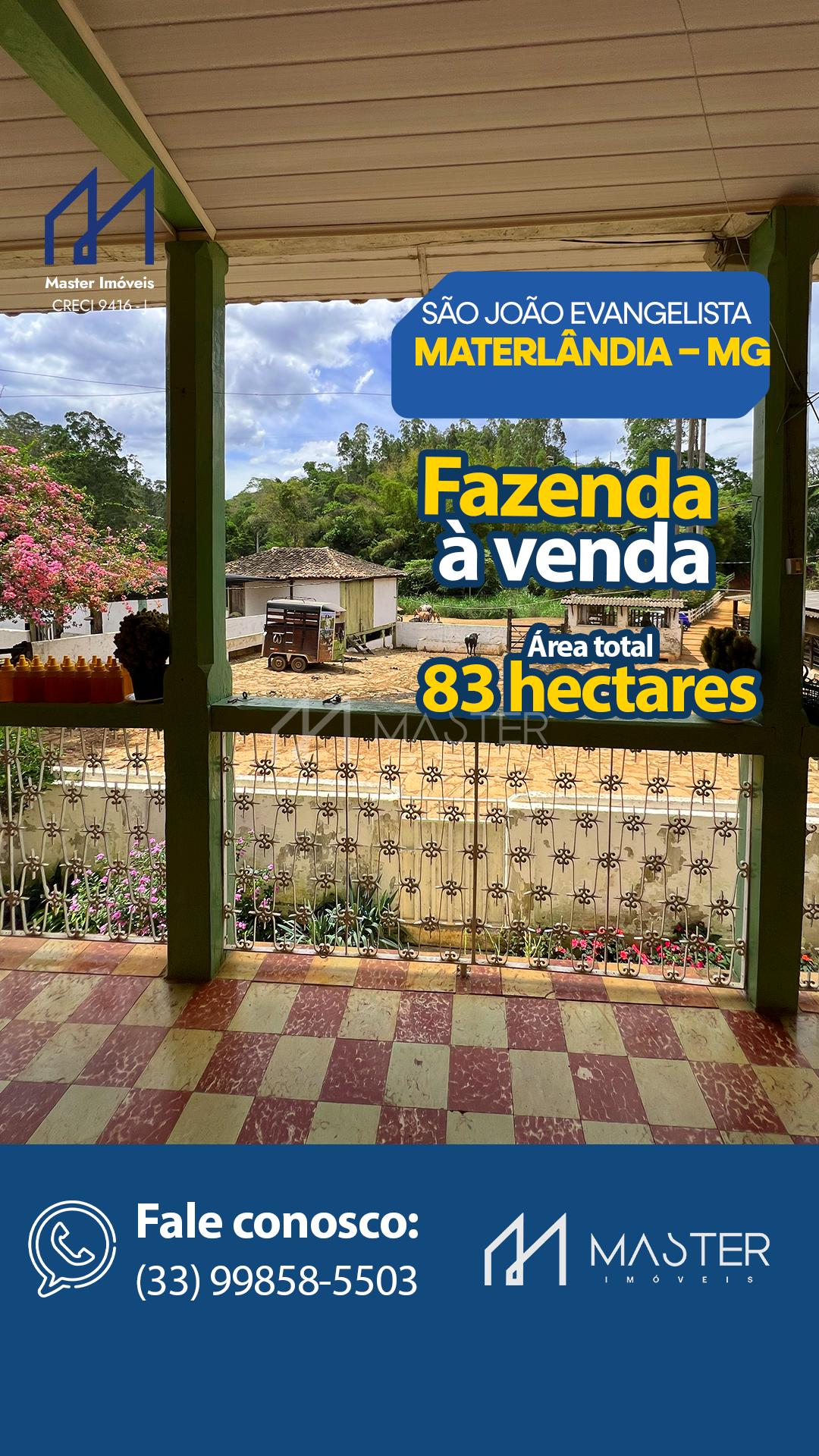 PROPIEDADE COMPLETA À VENDA NA CIDADE DE MATERLÂNDIA - MG