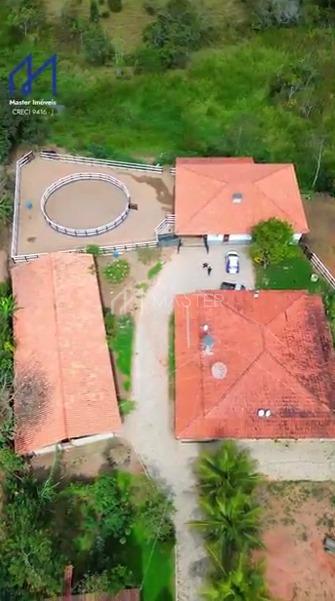 HARAS ? VENDA NO DISTRITO DE COMERCINHO NA CIDADE DE S?O JO?O ...