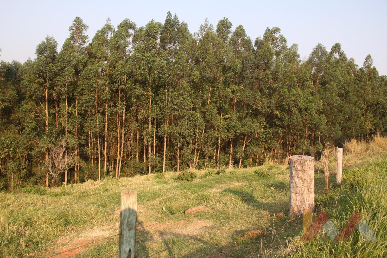 Área Rural - Linha Tibola