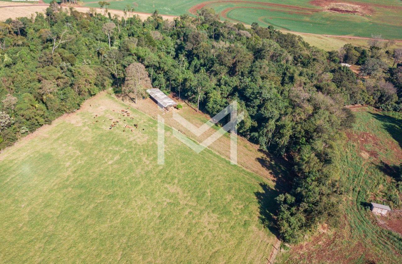 S?tio ? venda, ?REA RURAL, MATELANDIA - PR