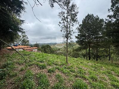 Terreno amplo à venda em Barbacena com 1.000m² no bairro Dom B...