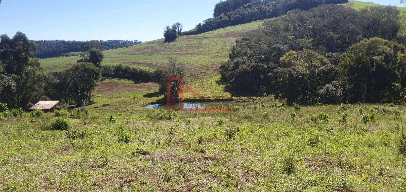 Vende Chácara na Linha Sede Gavião Divisa de Pato Branco Pr e ...