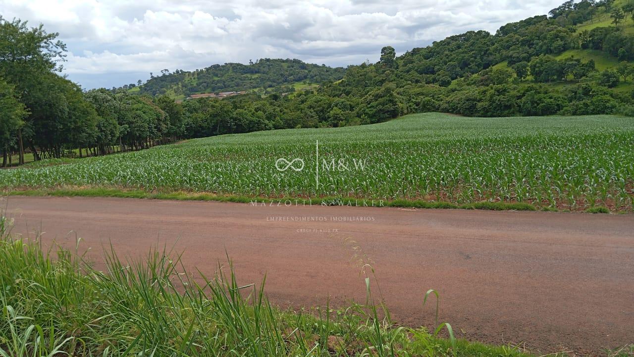 CHACARA A VENDA, 2,5KMS DA CIDADE,  ZONA RURAL, MEDIANEIRA - PR