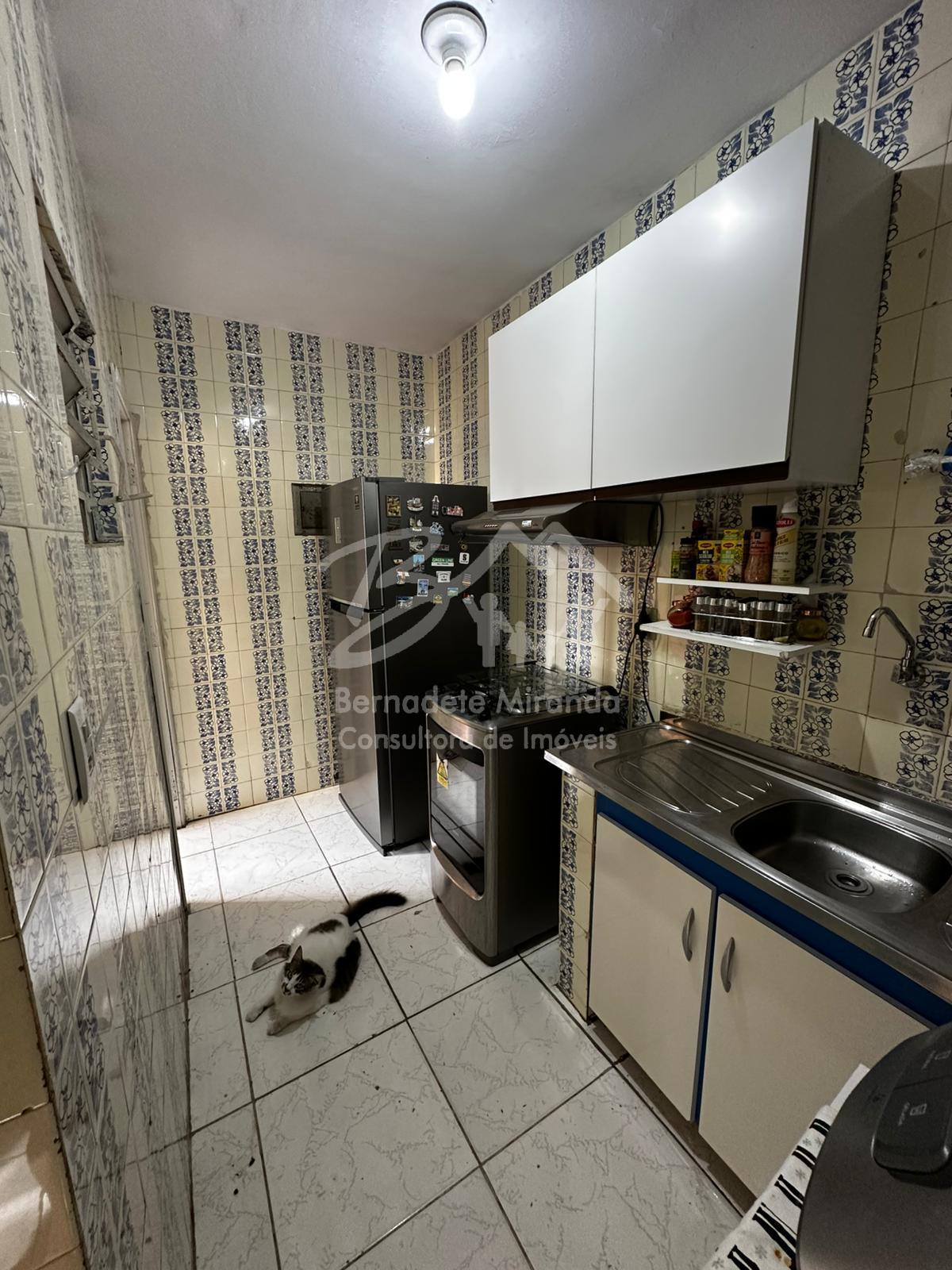 Bernadete M. Consultora de Im�veis em Recife PE