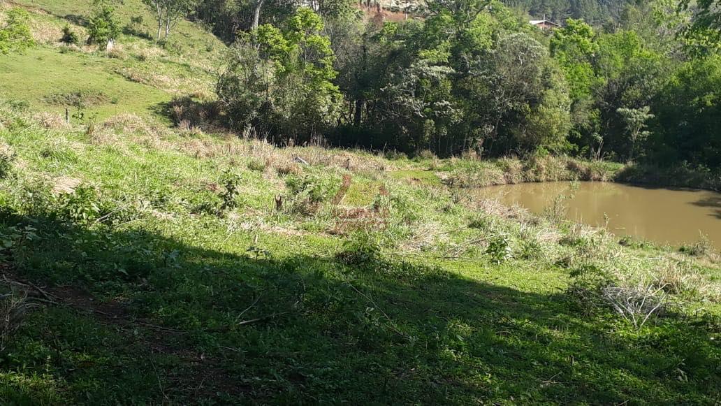 Merigo Corretor de Imveis em So Loureno do Oeste SC