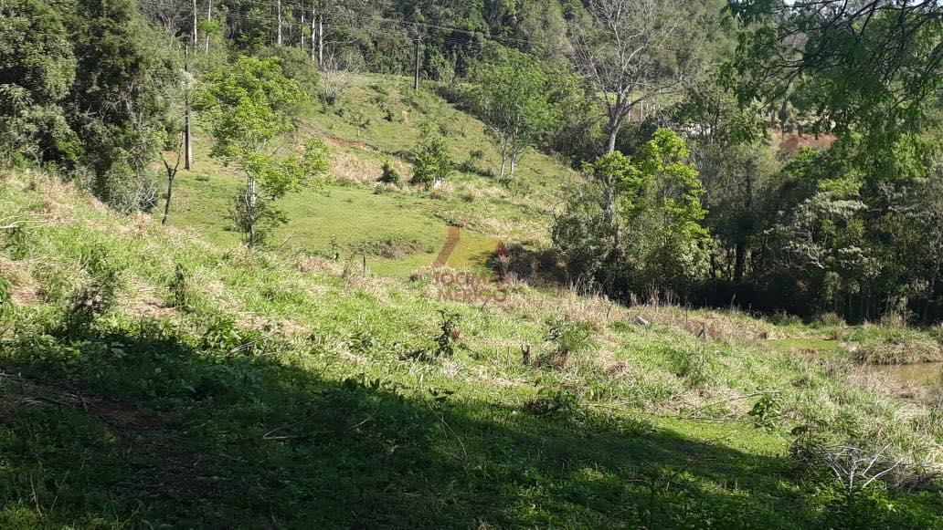 Merigo Corretor de Imveis em So Loureno do Oeste SC