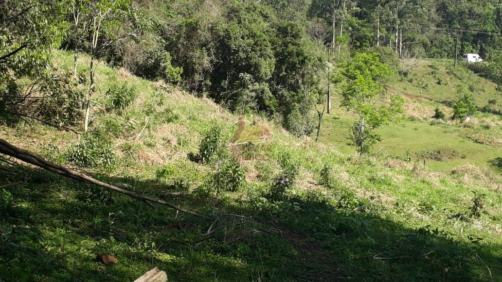 Merigo Corretor de Imveis em So Loureno do Oeste SC