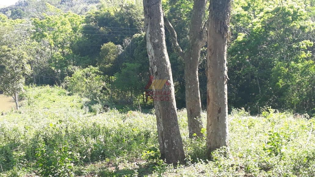 Merigo Corretor de Imveis em So Loureno do Oeste SC