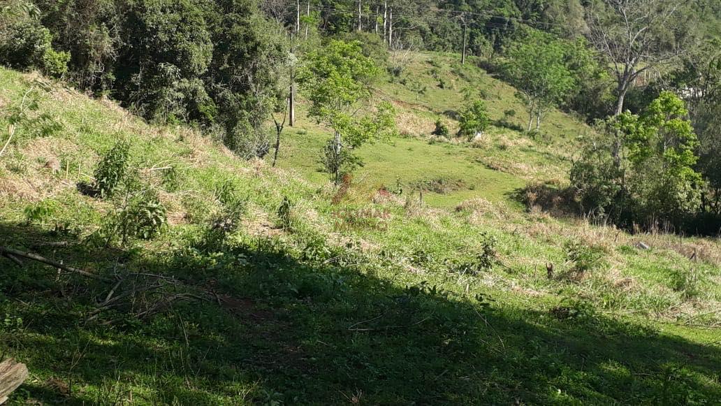 Merigo Corretor de Imveis em So Loureno do Oeste SC