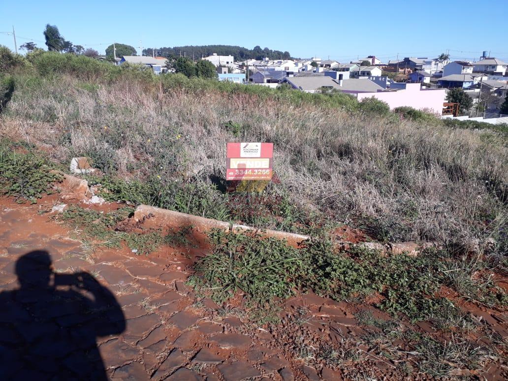 TERRENO ? VENDA, ARAUCARIA PARK, VITORINO - PR