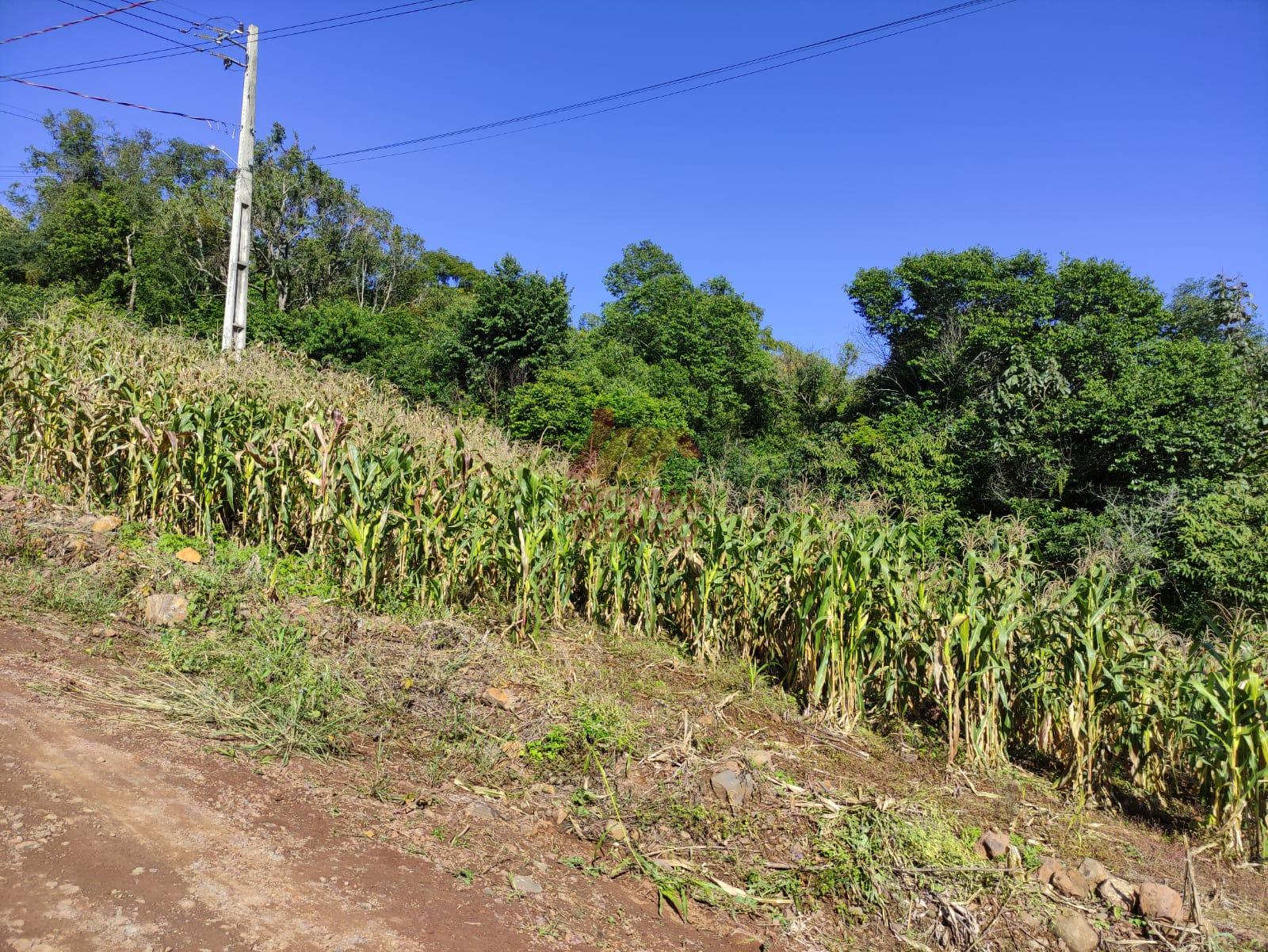 Terreno  venda, CENTRO, NOVO HORIZONTE - SC