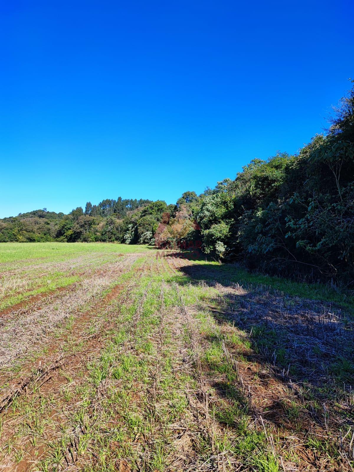 Outros, Frederico Wastner, SAO LOURENCO DO OESTE - SC