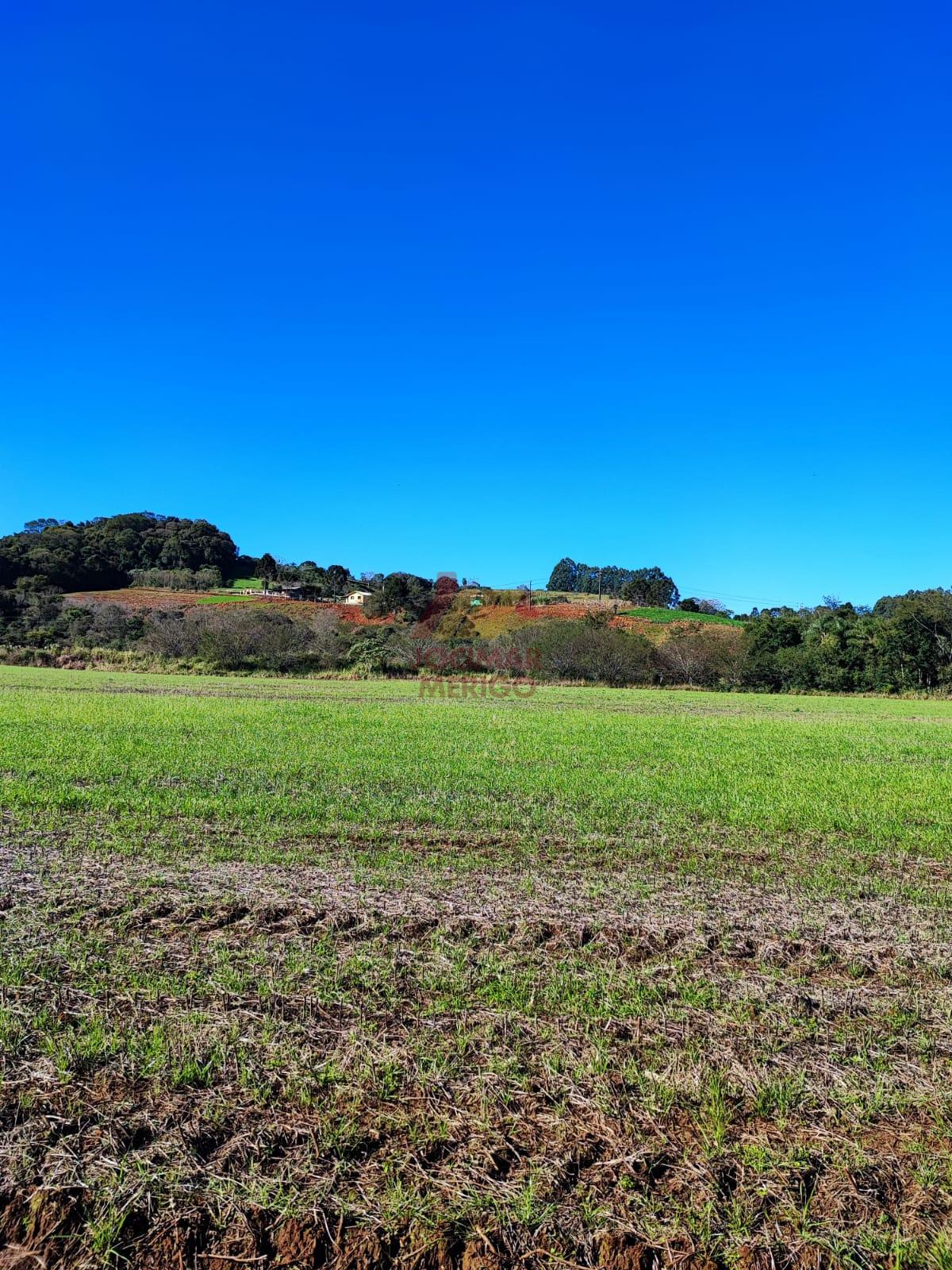 Merigo Corretor de Imveis em So Loureno do Oeste SC