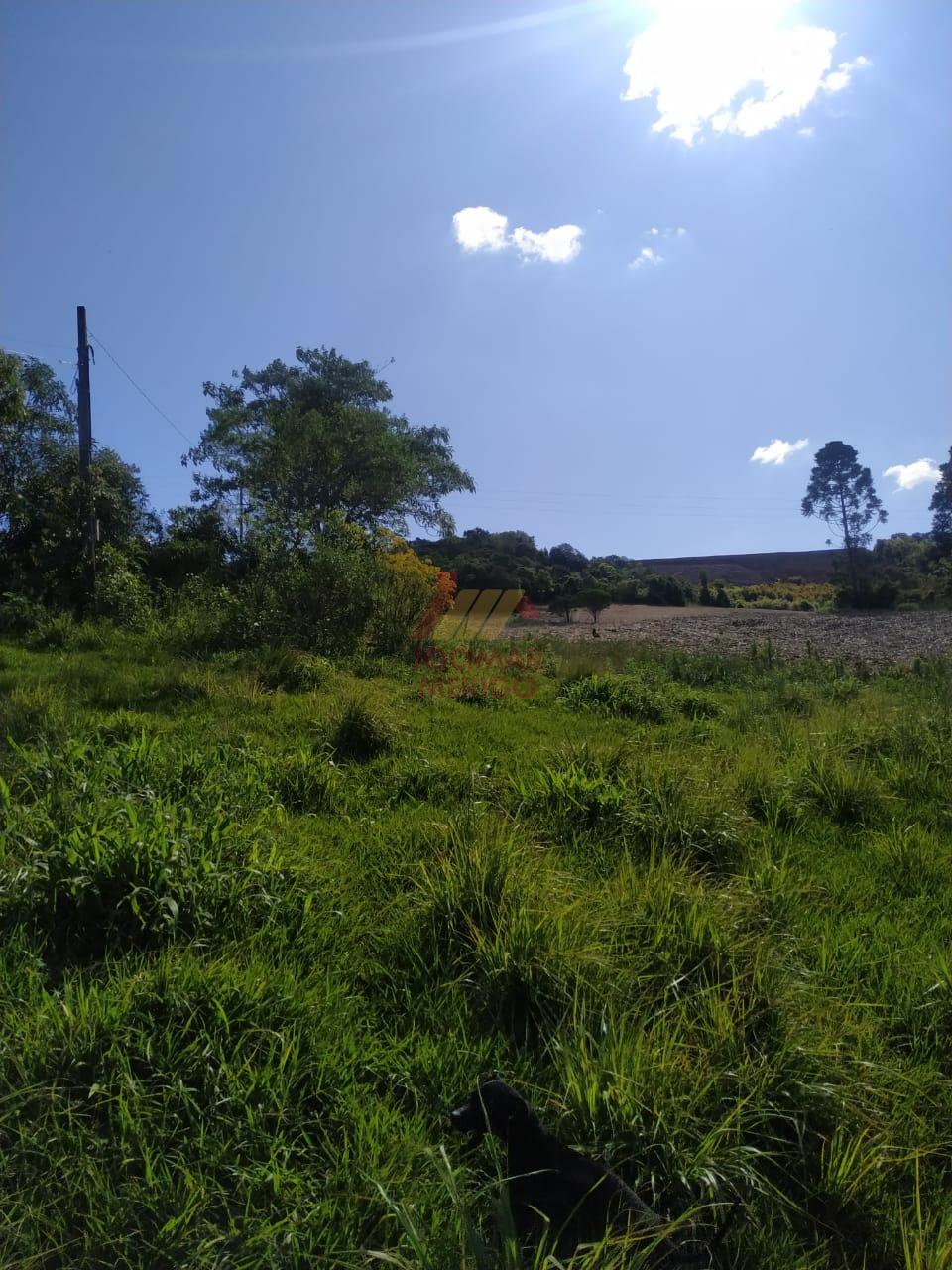 Chcara  venda, INTERIOR, SAO LOURENCO DO OESTE - SC