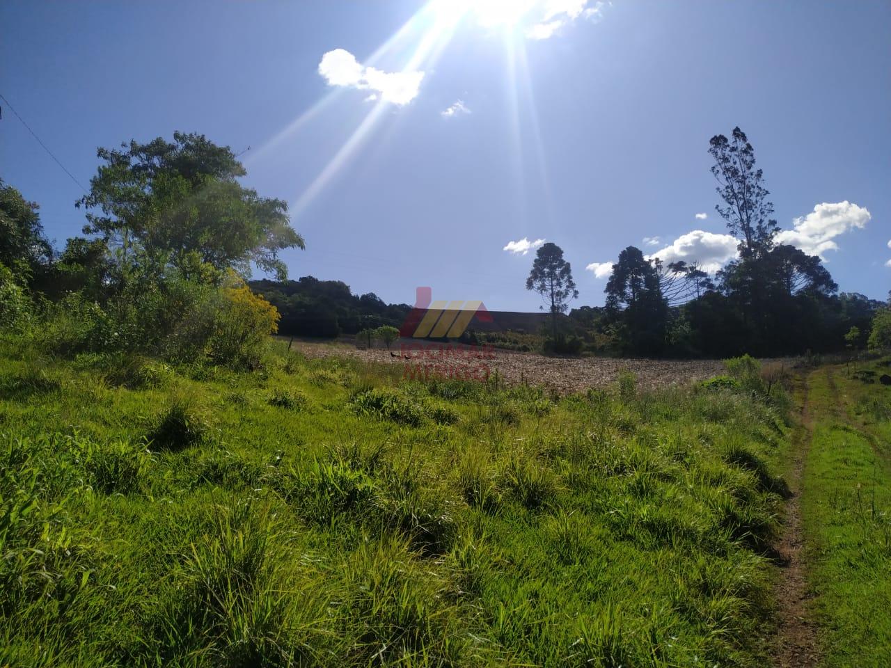 Merigo Corretor de Imveis em So Loureno do Oeste SC