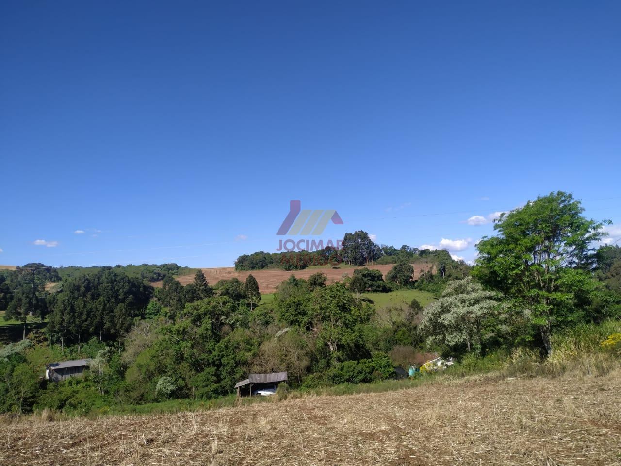 Merigo Corretor de Imveis em So Loureno do Oeste SC