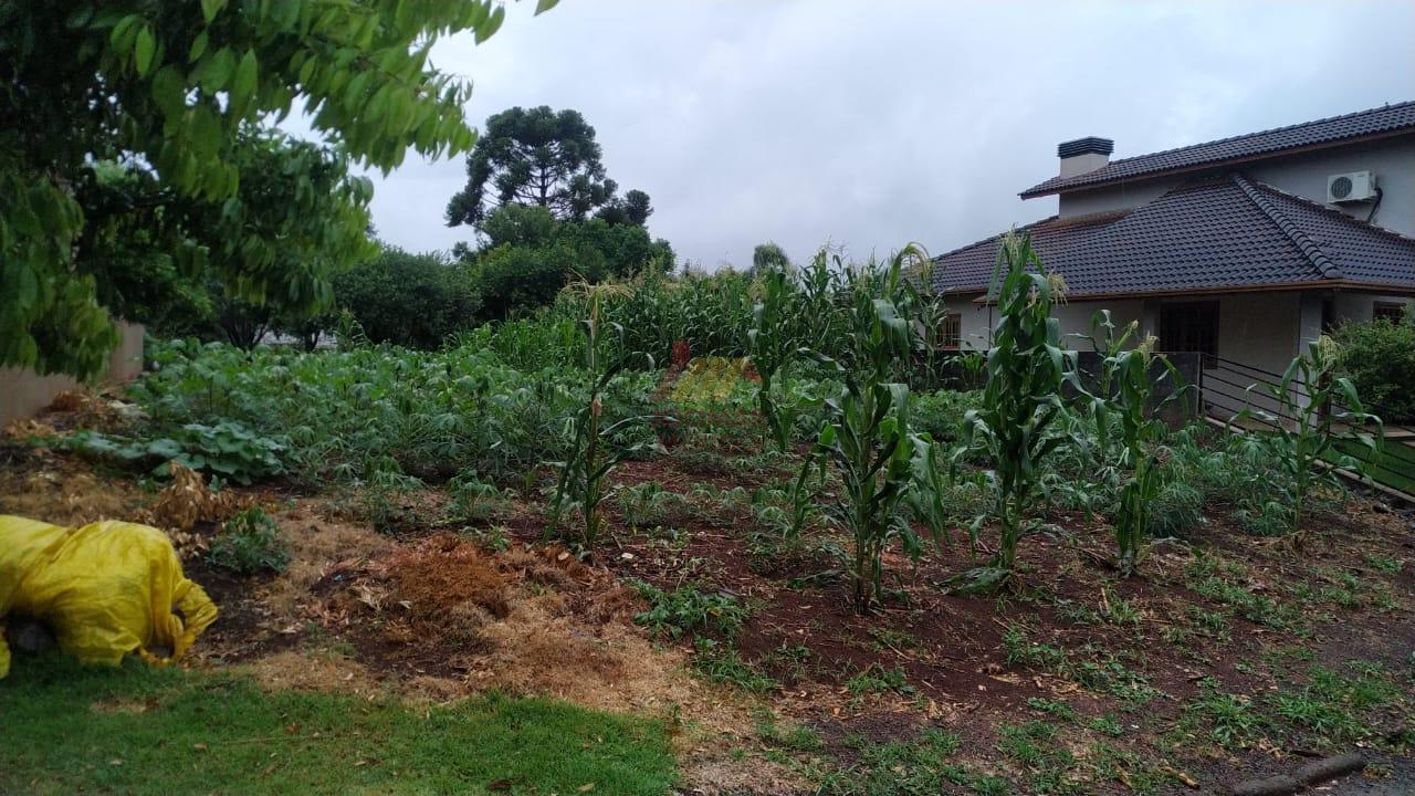TERRENO À VENDA, LOTEAMENTO BORTOLINI III, SAO DOMINGOS - SC