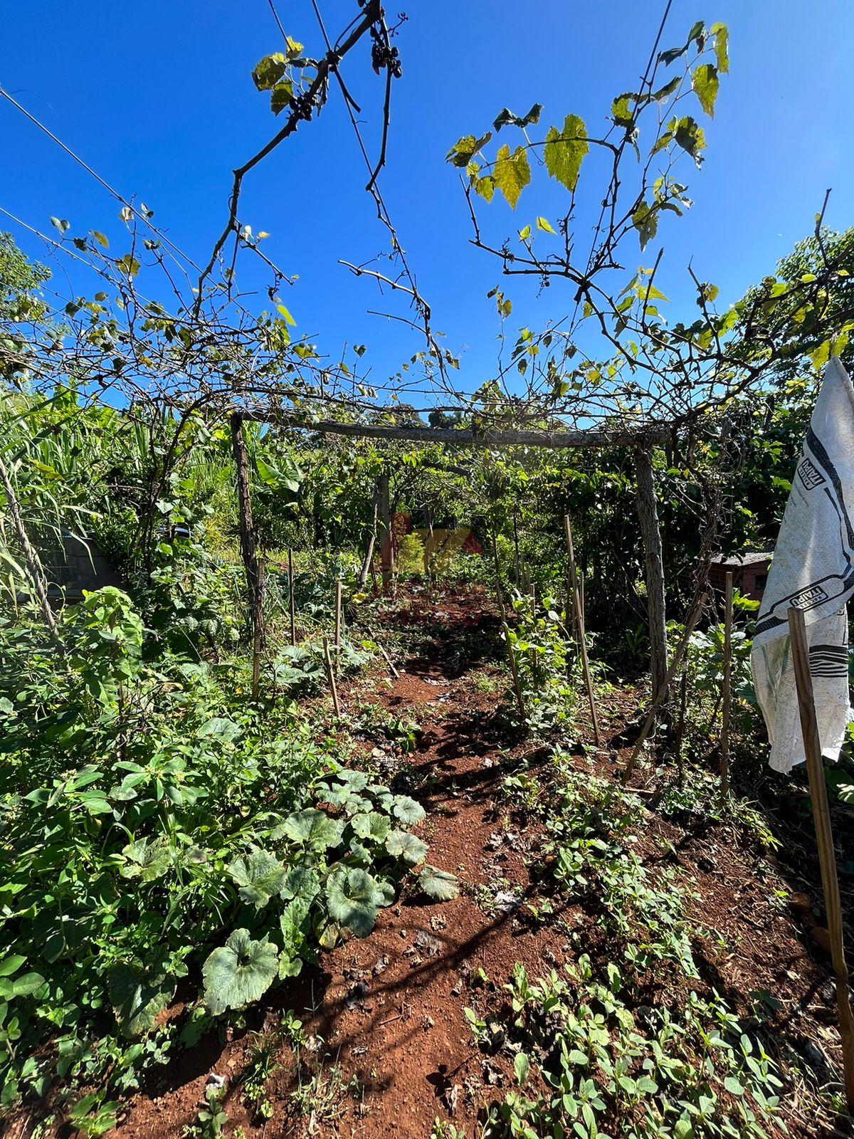 Merigo Corretor de Imveis em So Loureno do Oeste SC