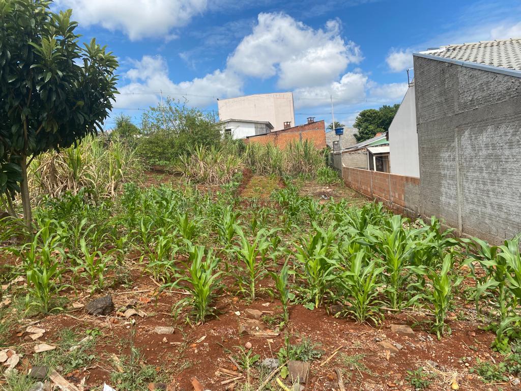 TERRENO À VENDA, SANTO ANTONIO, PATO BRANCO - PR