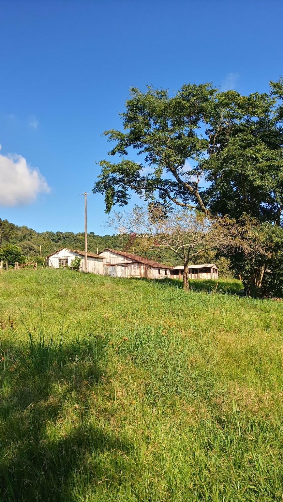 Merigo Corretor de Imveis em So Loureno do Oeste SC