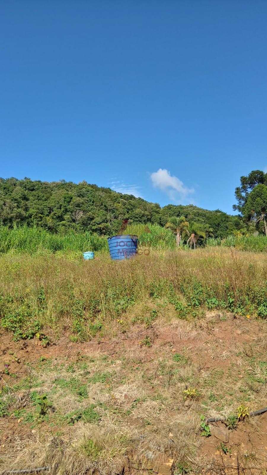Merigo Corretor de Imveis em So Loureno do Oeste SC