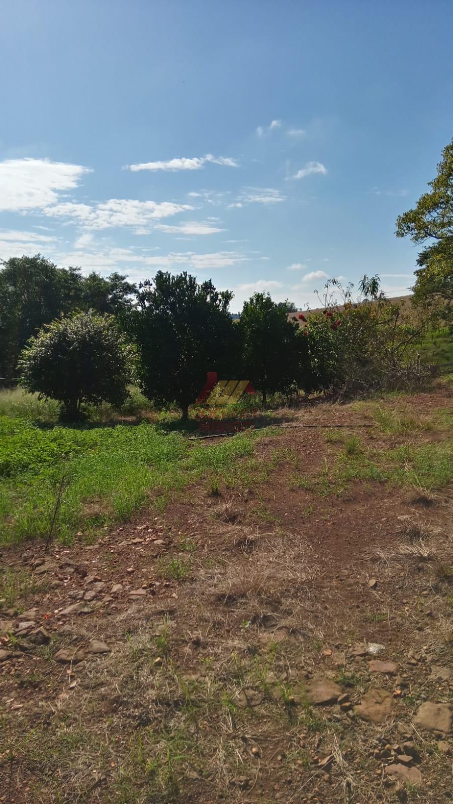 Merigo Corretor de Imveis em So Loureno do Oeste SC