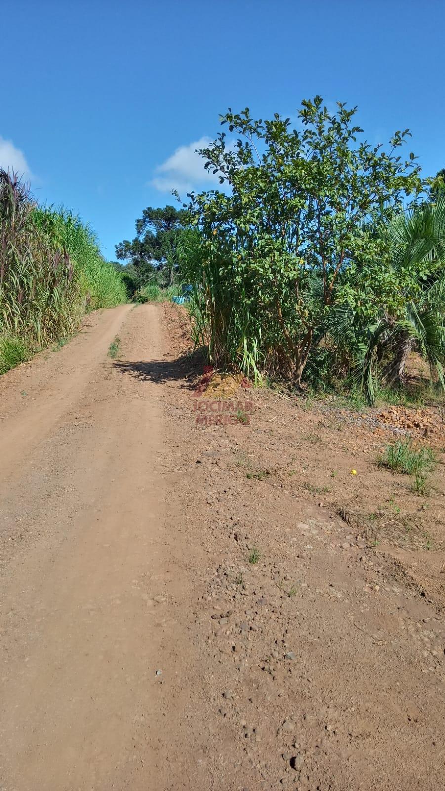 Merigo Corretor de Imveis em So Loureno do Oeste SC