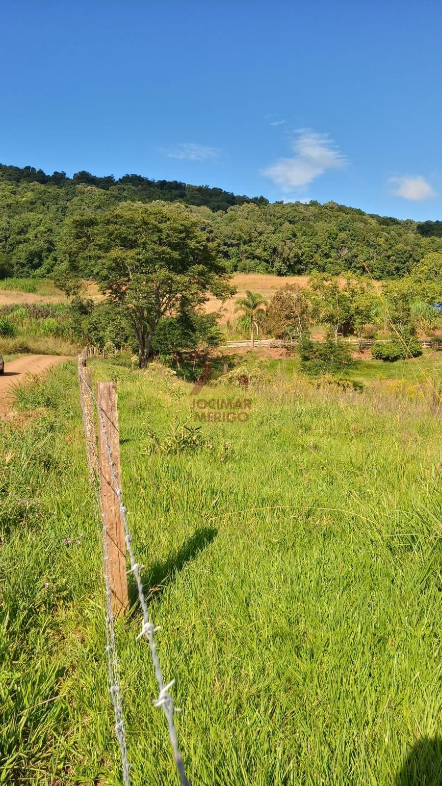 Merigo Corretor de Imveis em So Loureno do Oeste SC