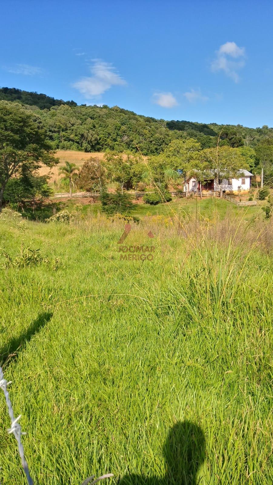 Merigo Corretor de Imveis em So Loureno do Oeste SC