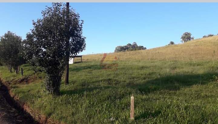 Merigo Corretor de Imveis em So Loureno do Oeste SC