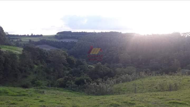 Merigo Corretor de Imveis em So Loureno do Oeste SC