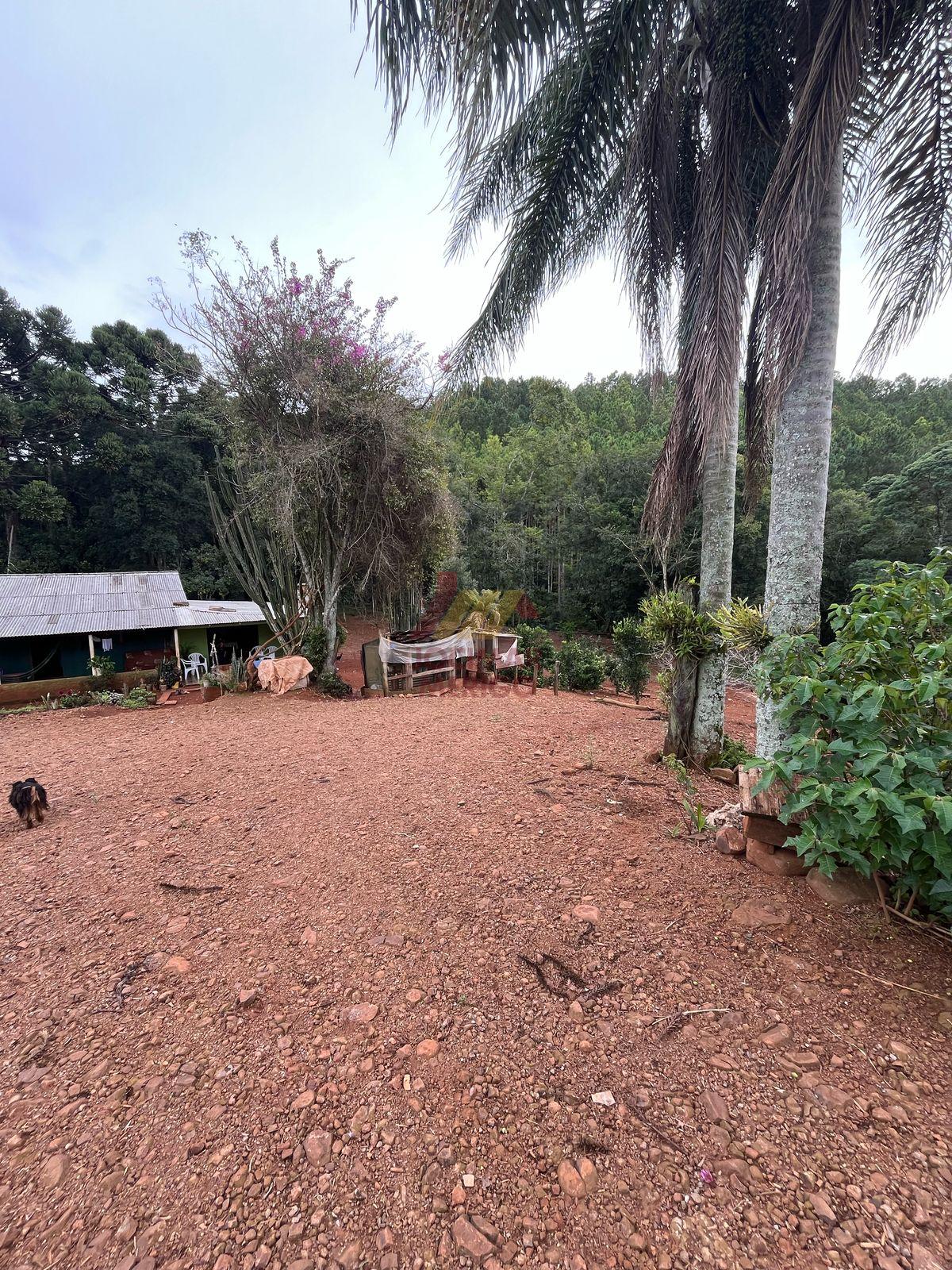 Merigo Corretor de Imveis em So Loureno do Oeste SC
