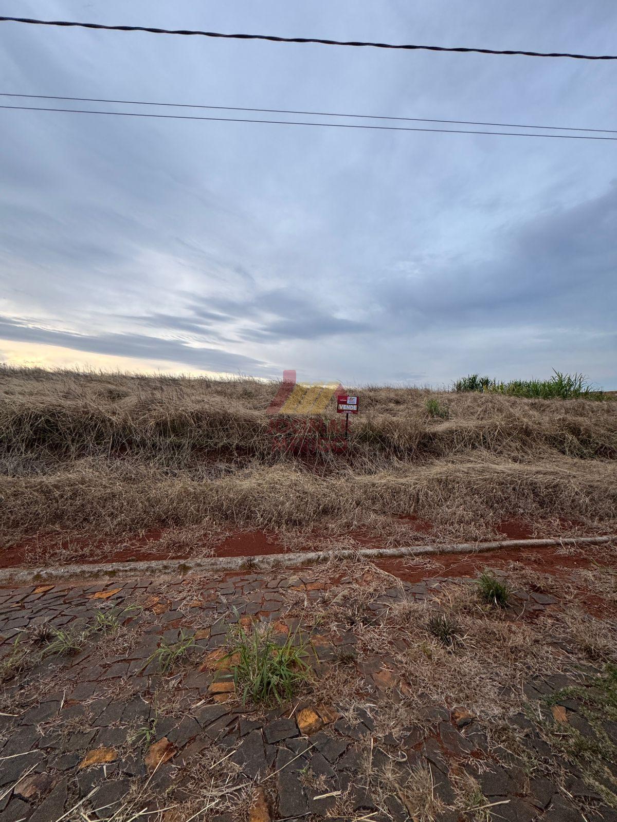 Terreno, DALLA VECCHIA, VITORINO - PR