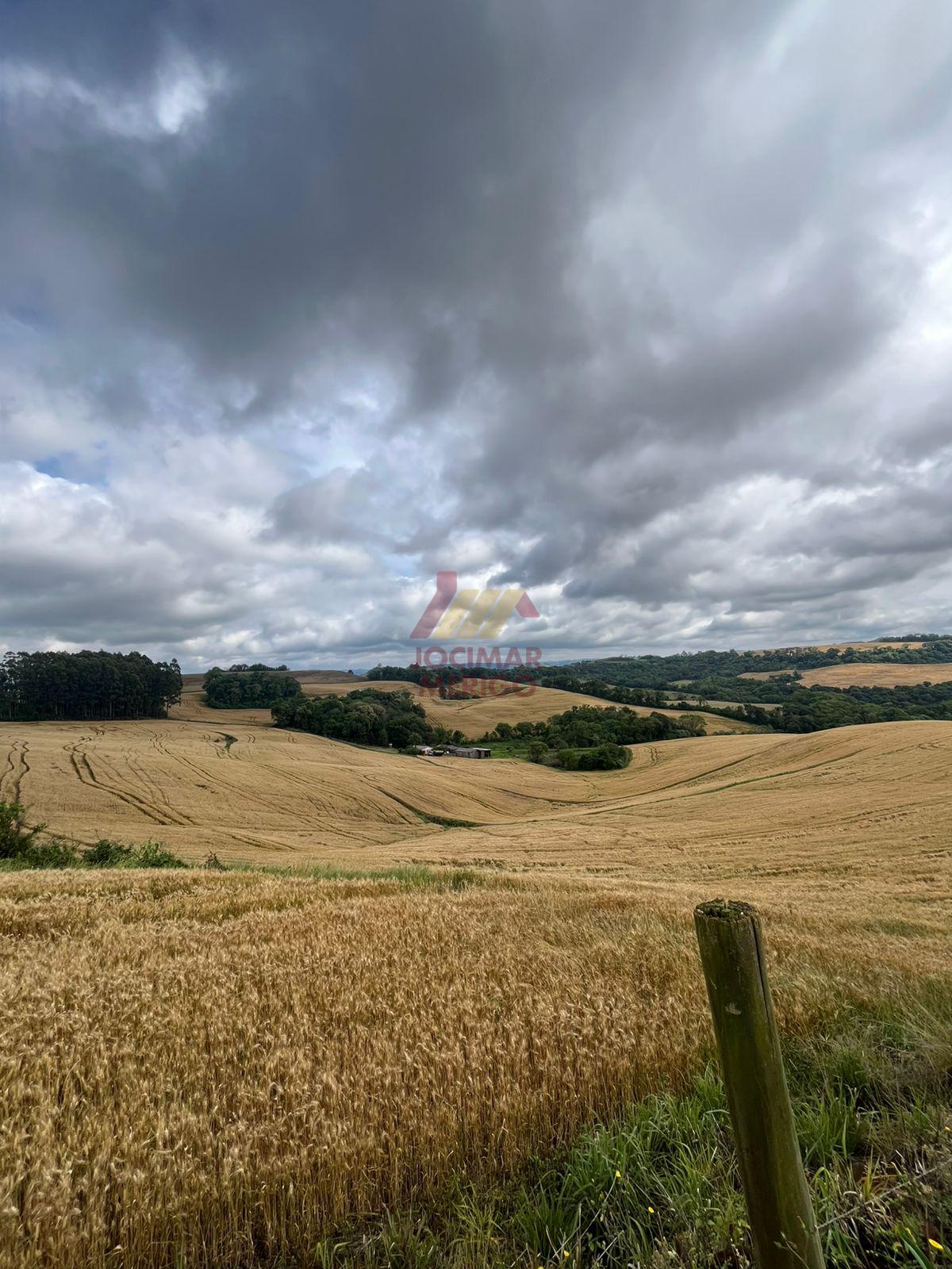 ÁREA RURAL À VENDA, INTERIOR, GALVAO - SC