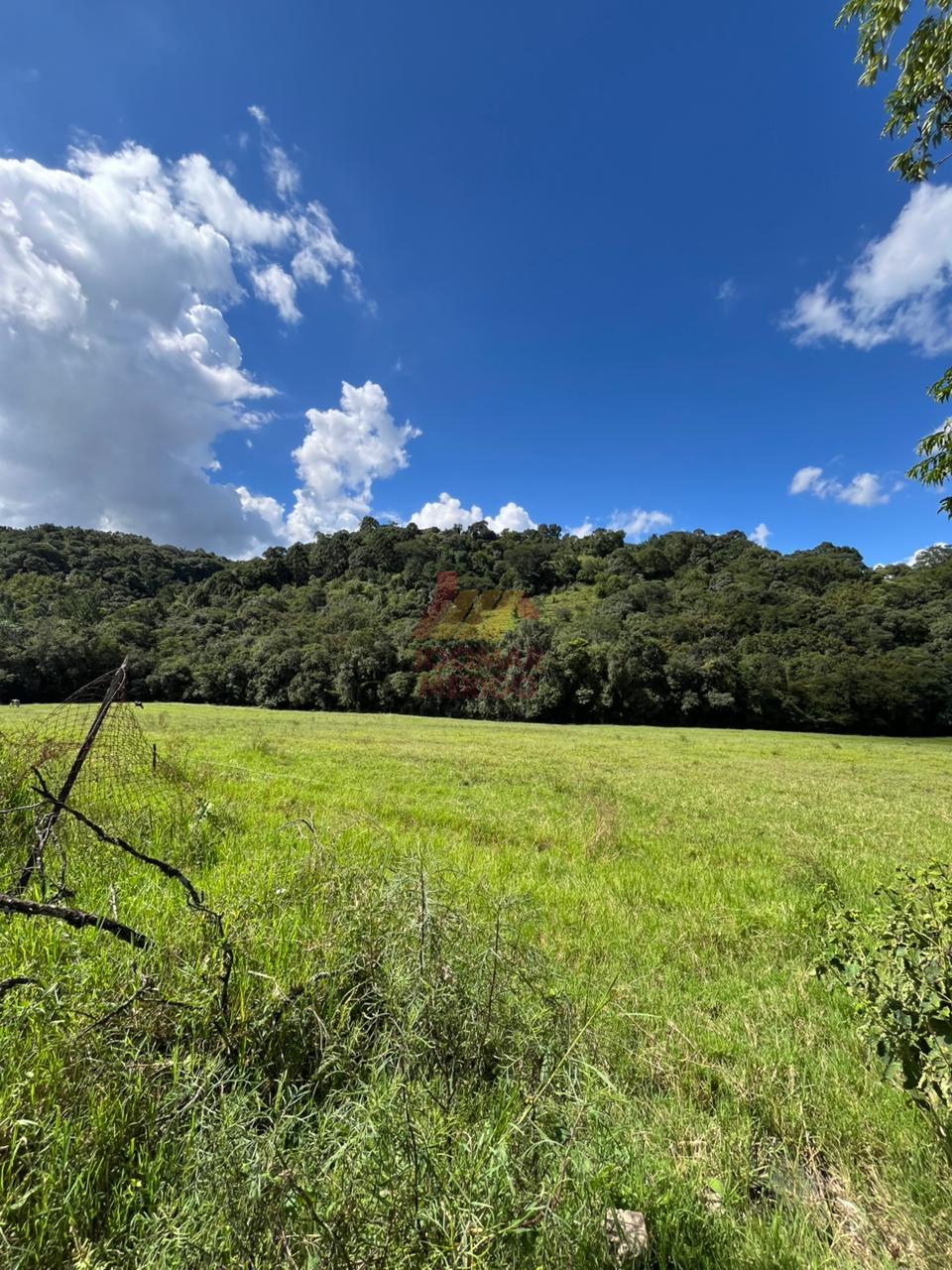 CHÁCARA À VENDA, LINHA LAJEADO RAUL, SÃO LOURENÇO DO OESTE - SC