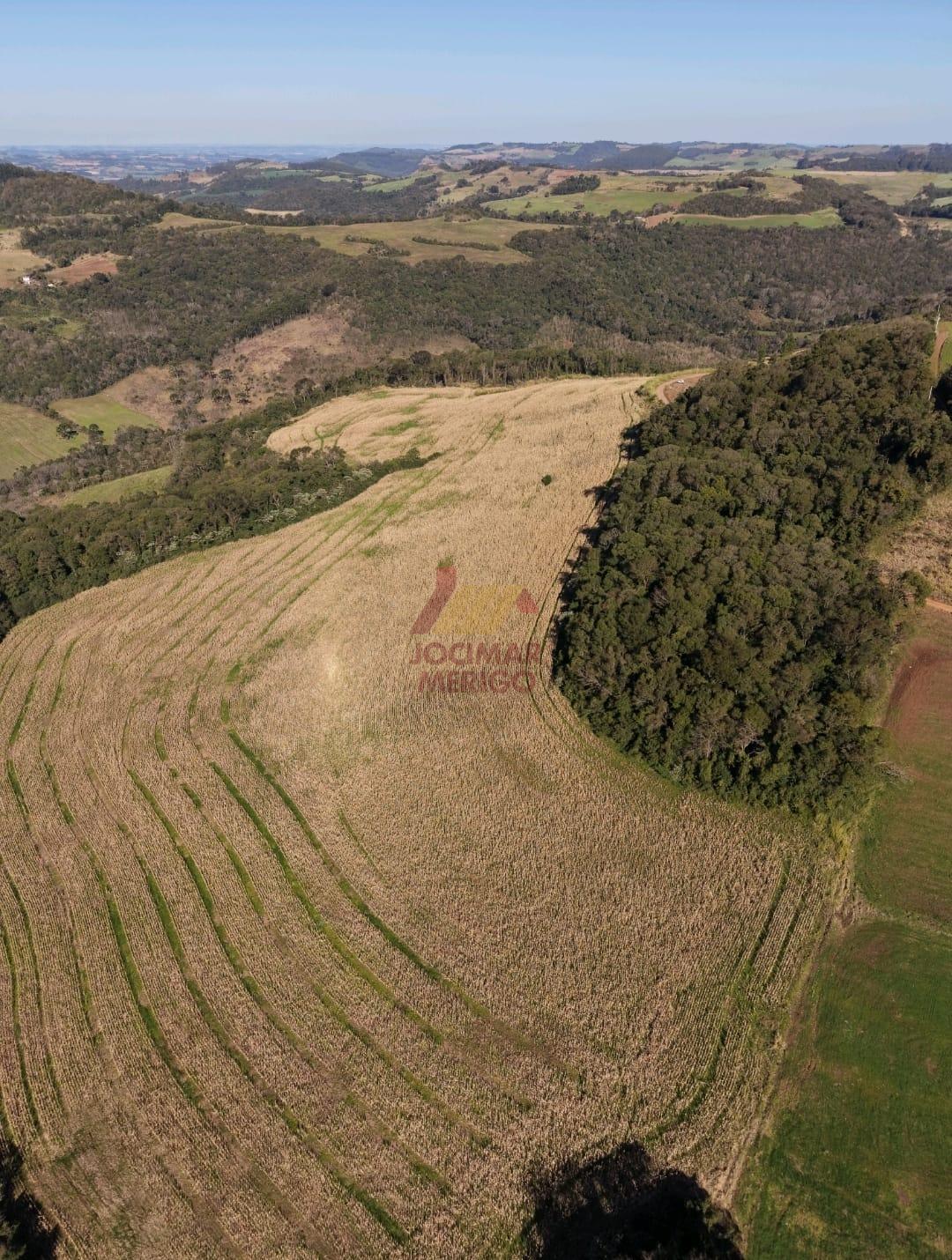 ÁREA RURAL À VENDA, LINHA GUAIRA, NOVO HORIZONTE - SC