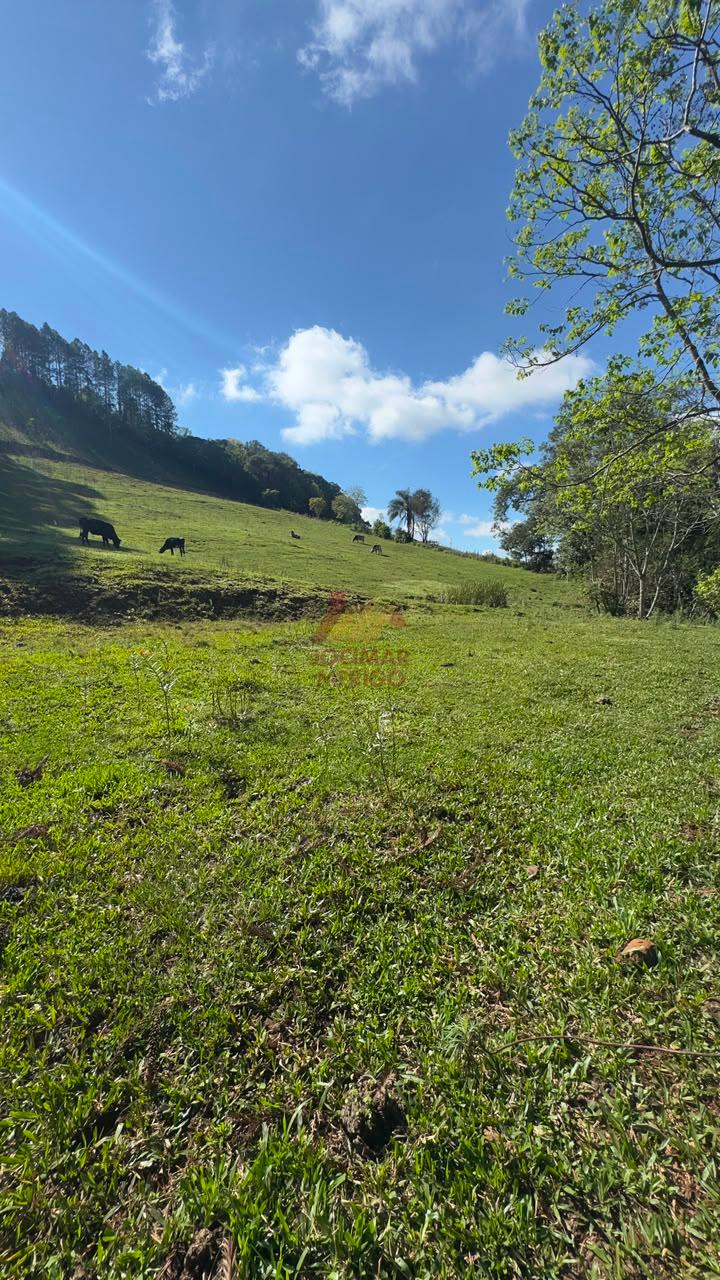 CHÁCARA A VENDA, LINHA SÃO MIGUEL, SÃO LOURENÇO DO OESTE - SC