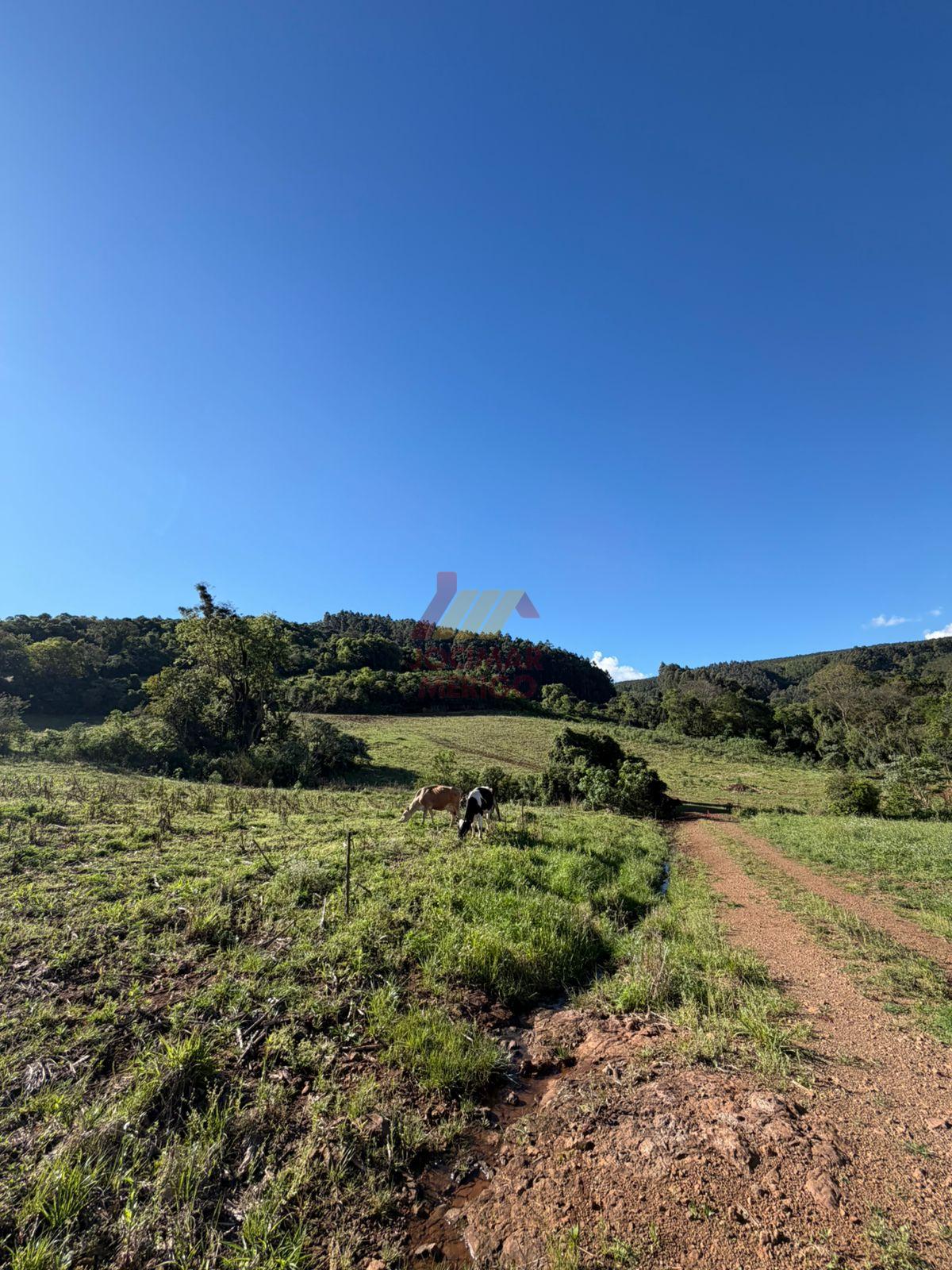 ÁREA RURAL À VENDA, LINHA PINHEIRO, JUPIA - SC