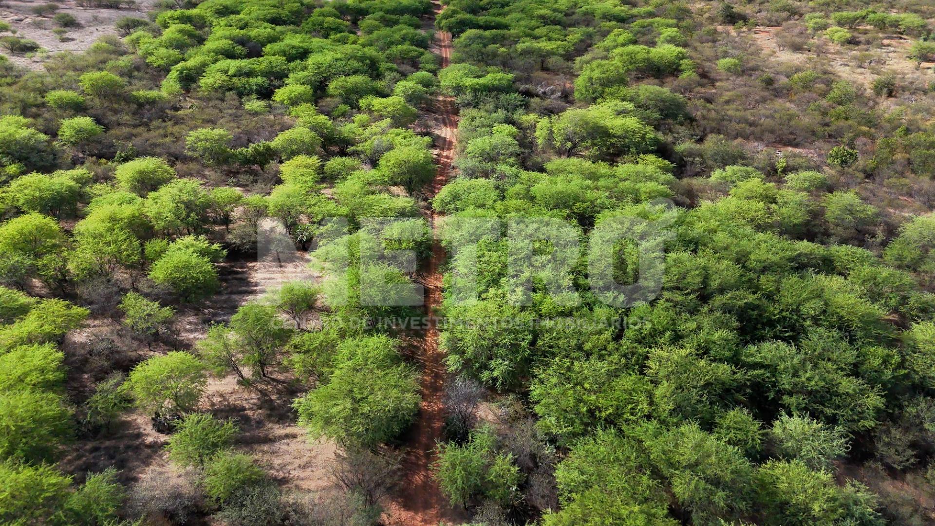 Chácara à venda, 181000m² - Foto 9