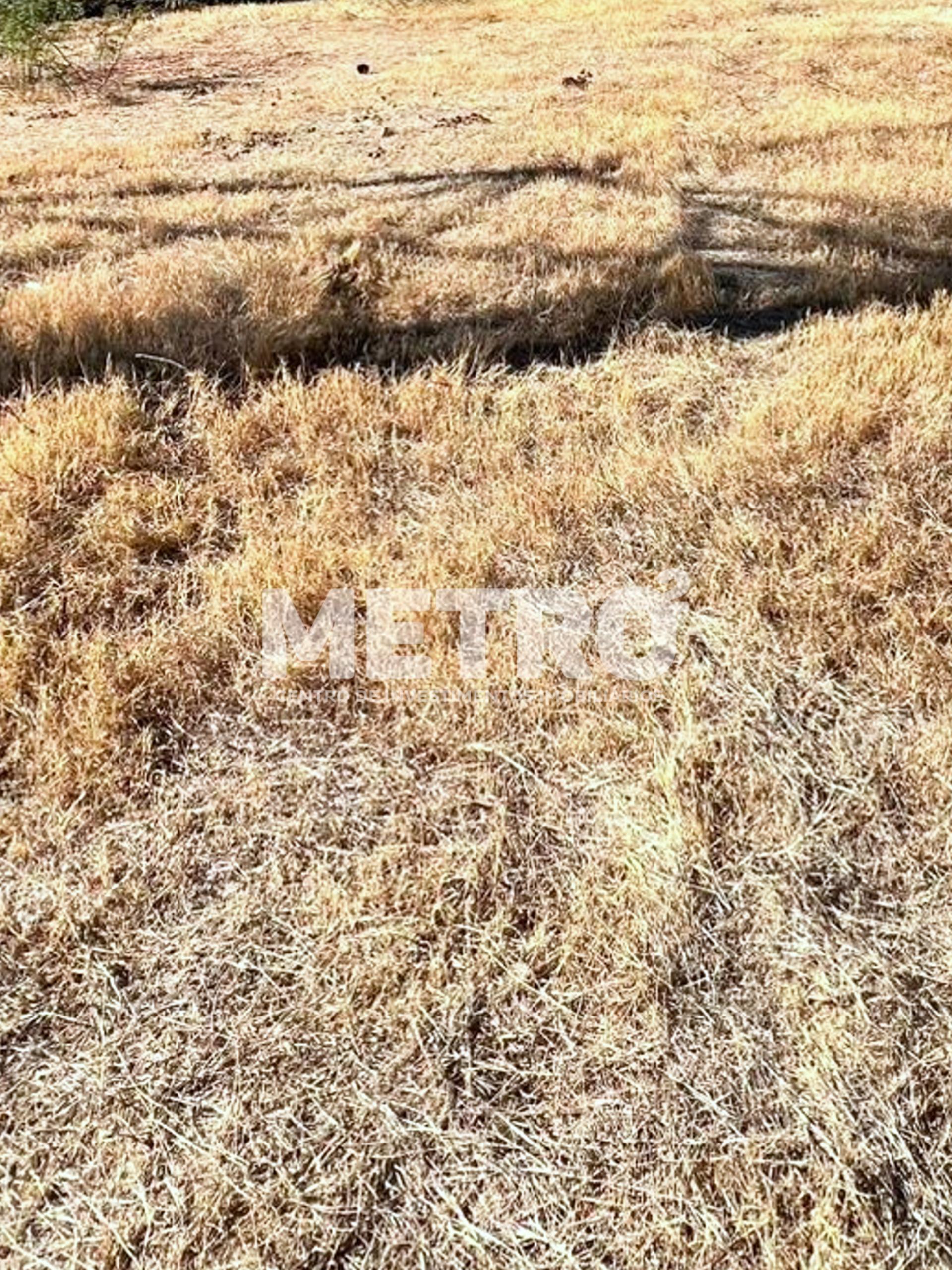 Terreno à venda na Av. Clementino Coelho 1.079,00m, PETROLINA ...