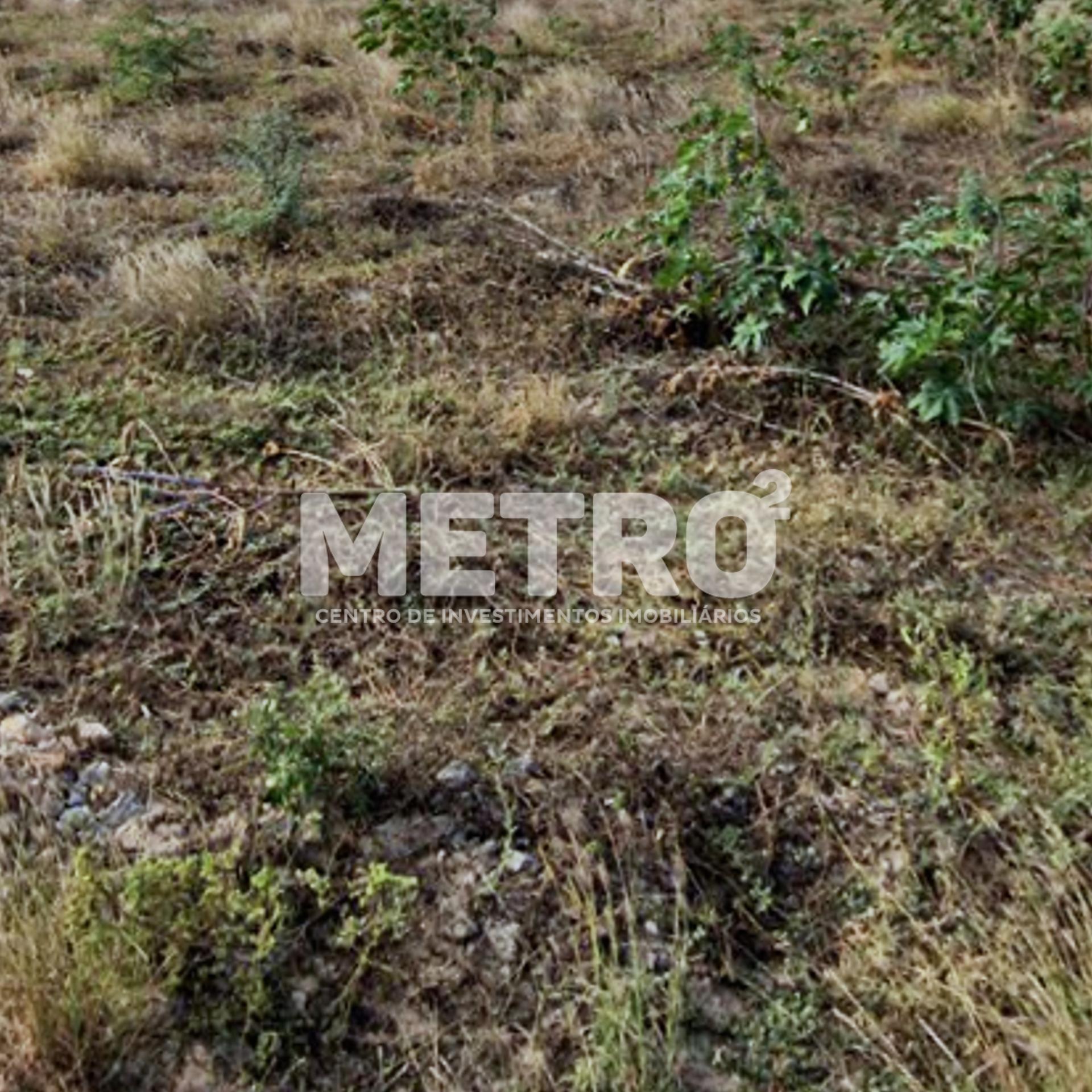 Terreno à venda  no Loteamento Recife, 200m, rua asfaltada, PE...