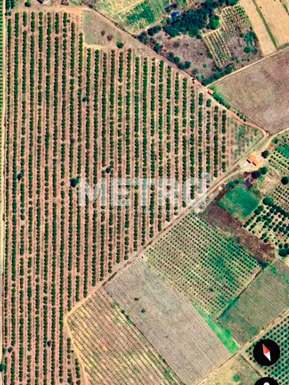 Fazenda à venda, 145000m² - Foto 2