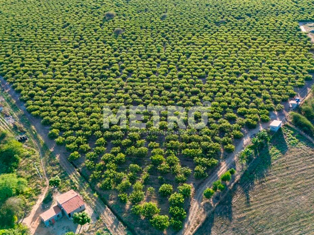 Fazenda à venda, 145000m² - Foto 3